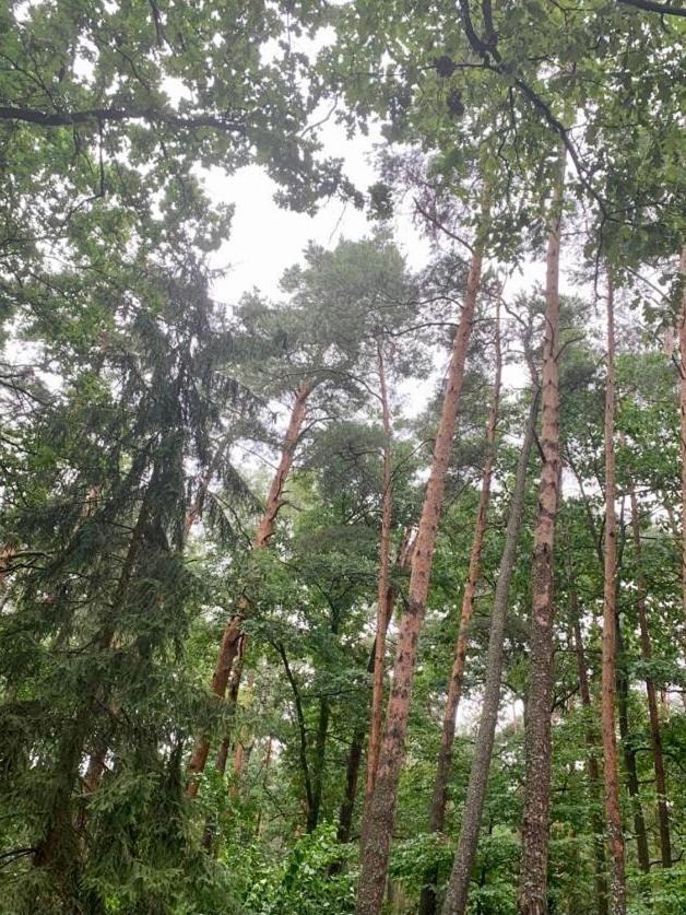 Chata Roudná Klenovice  Esterno foto