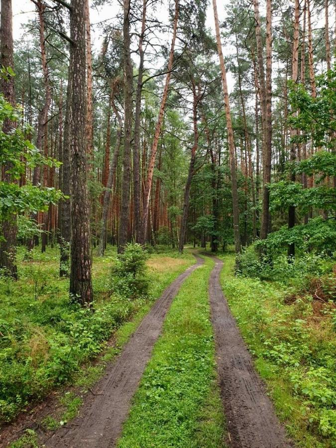 Chata Roudná Klenovice  Esterno foto